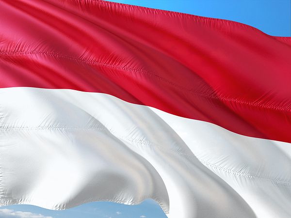 Indonesia’s Economic Vision: Opportunities for Latin America