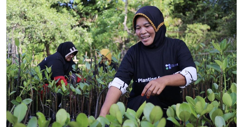 ClimeCo bermitra dengan YAKOPI dan PUR Projet untuk proyek reboisasi mangrove seluas 6000 hektar di Indonesia, meningkatkan lingkungan dan ekonomi wilayah tersebut
