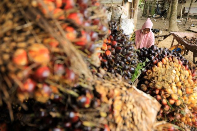 Indonesia widens export ban to include CPO, refined palm oil