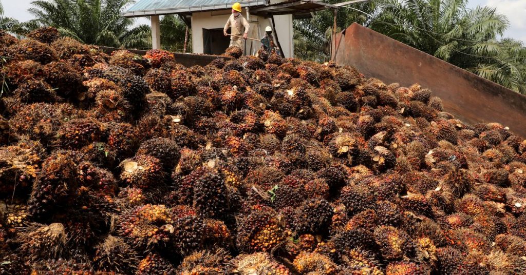 Indonesia berupaya menyeimbangkan permintaan minyak sawit internasional dan domestik - resmi