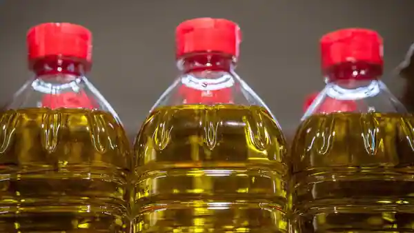 International prices of edible oils are under pressure due to shortfall in global production and increase in export tax/levies by the exporting countries (Bloomberg)