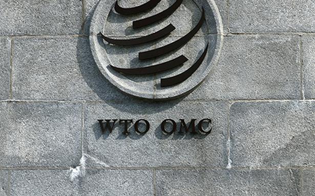 India, Australia Selatan dan Indonesia ingin WTO fokus pada aspek pengembangan e-commerce