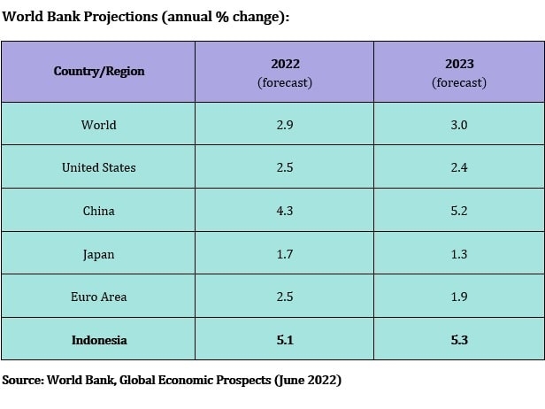 Mengukur kesehatan perekonomian Indonesia;  Menantang kondisi stabil di kuartal kedua 2022