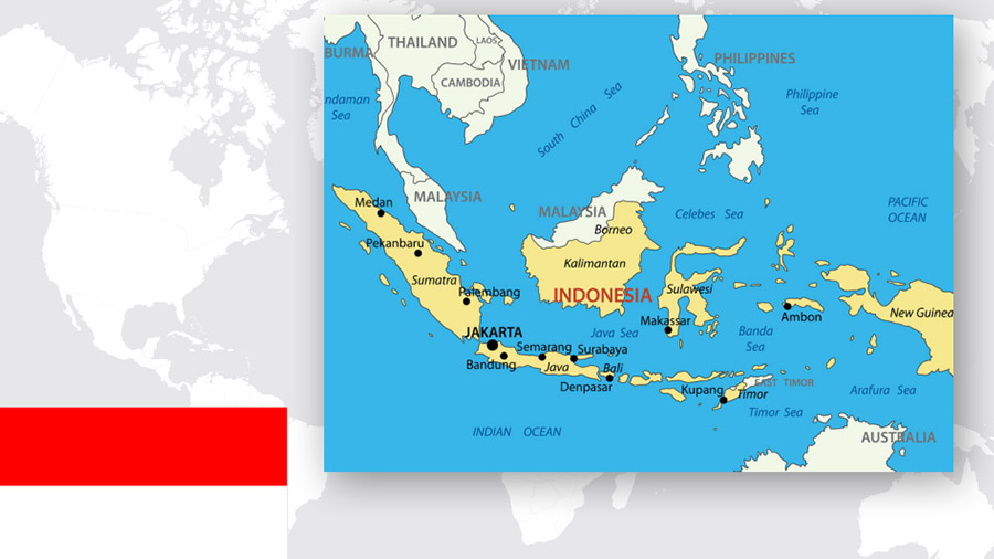 Pengantar Inisiatif Sabuk dan Jalan China: Investasi di Indonesia