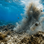 Penangkapan Ikan dengan Bom Mengancam Terumbu Karang Indonesia